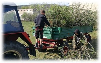 Poľnohospodárska výroba
