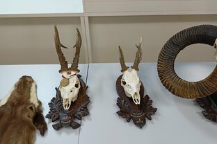 Zväčšiť fotografiu - Stolári a autoopravári sa zúčastnili besedy s poľovníkmi