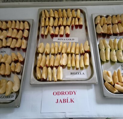 Pripomenuli sme si Medzinárodný deň jablka 